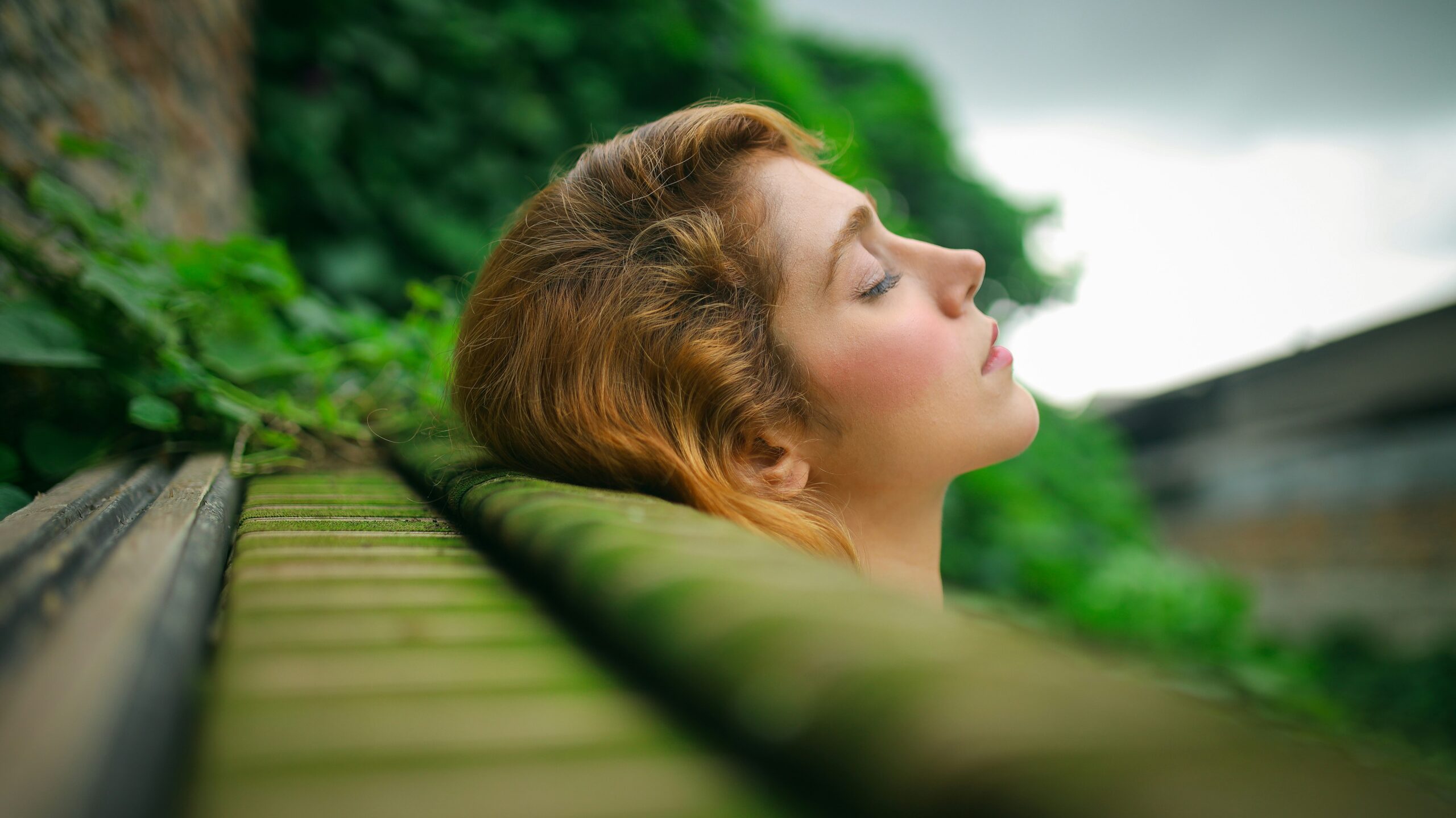 Cortisol levels chart showing decrease during calming activities