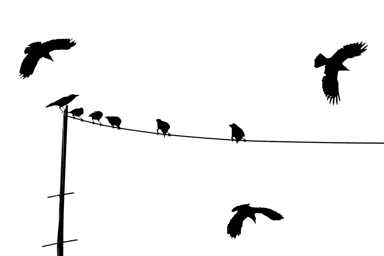 Illustration showing gradual progress versus sudden change