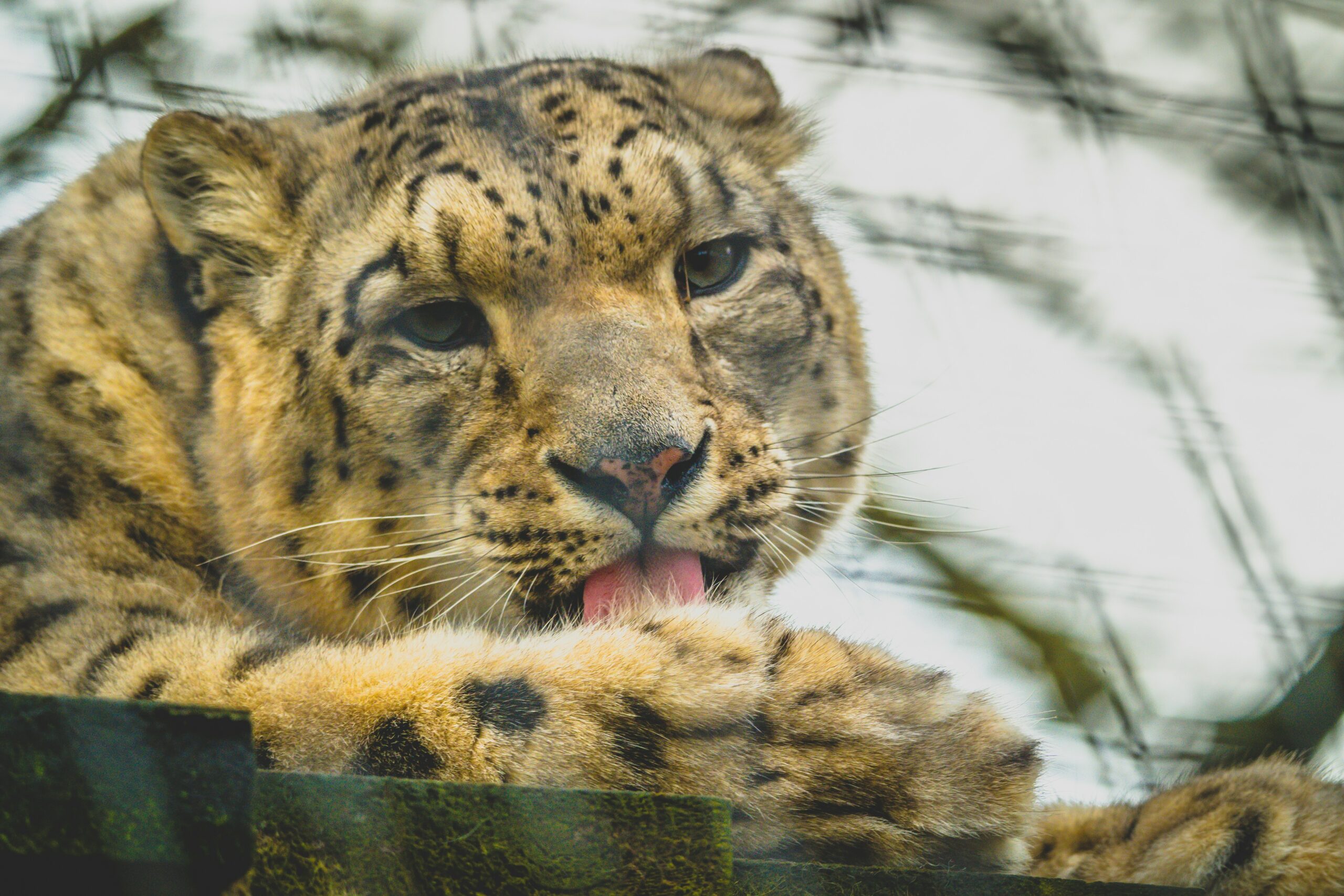 mindfulness meditation