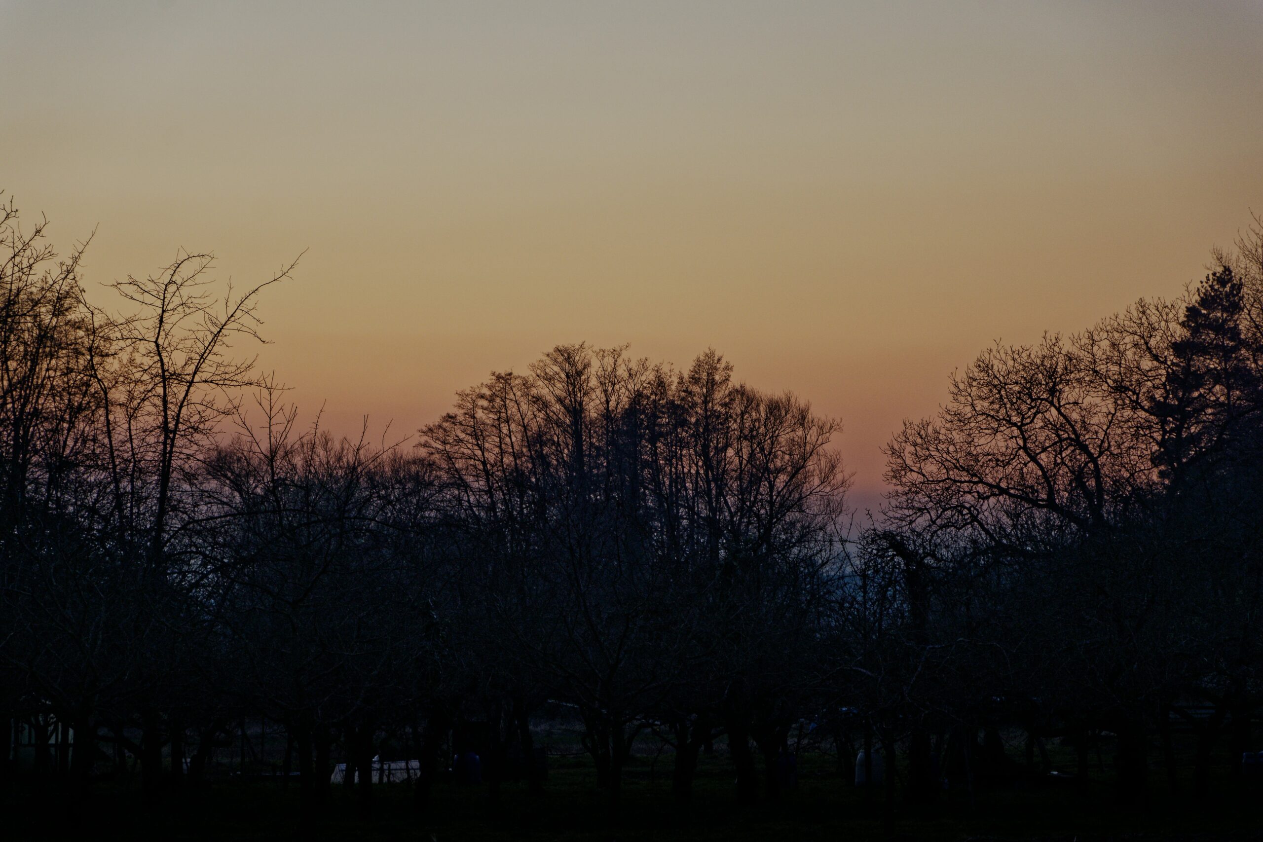relaxing evening routine
