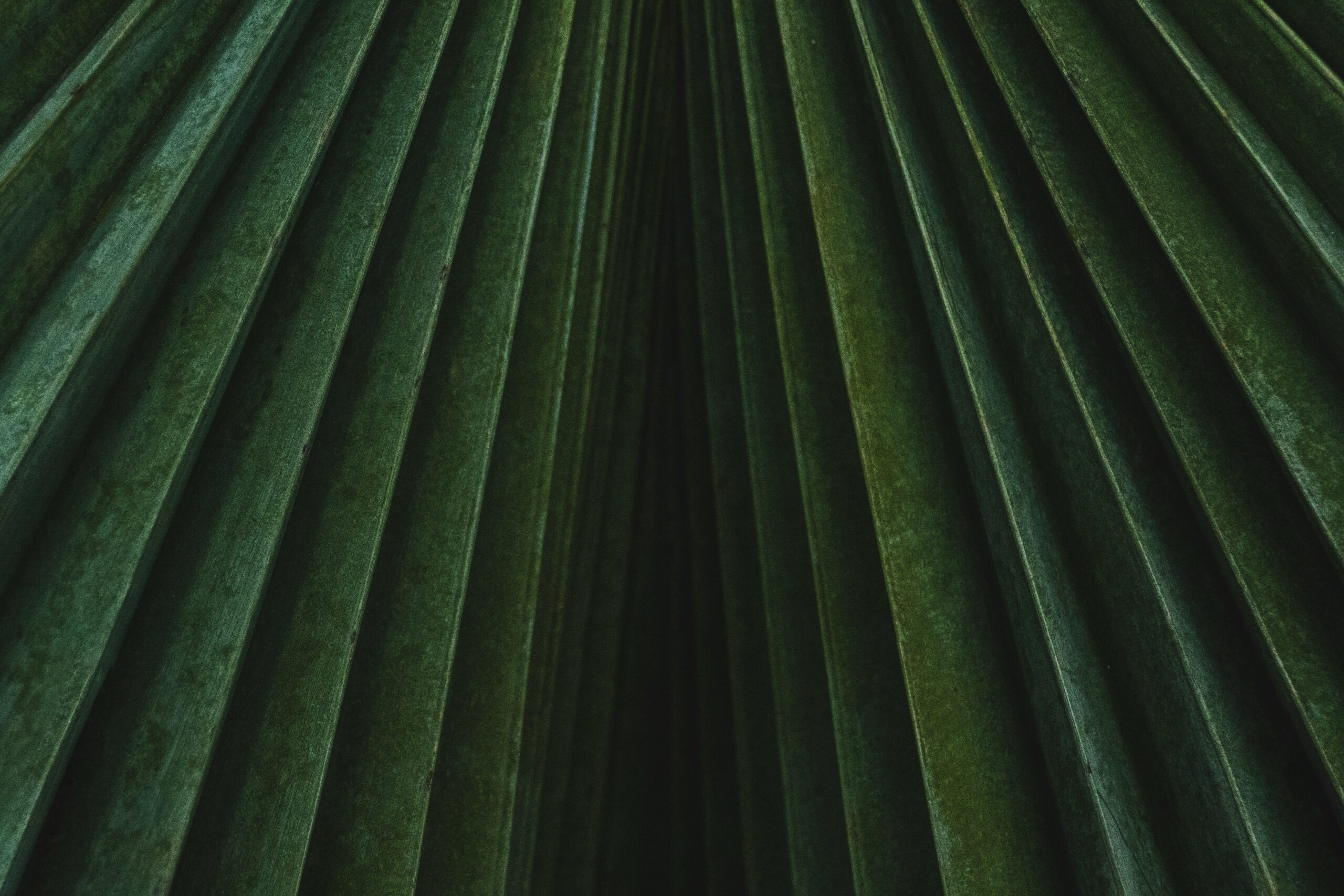 Screenshot of a meditation app displaying session history and streak stats