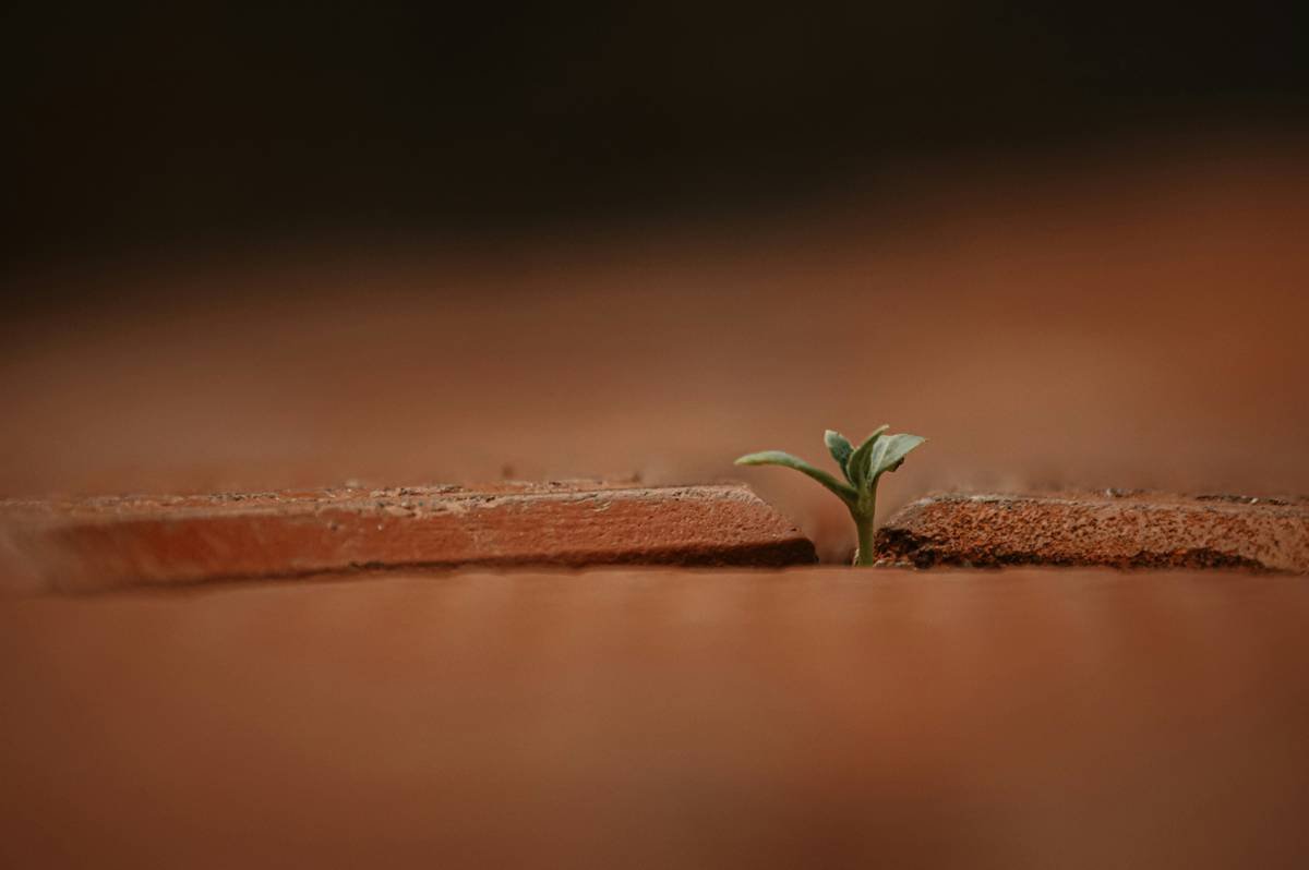 Sample habit tracker template designed for beginners