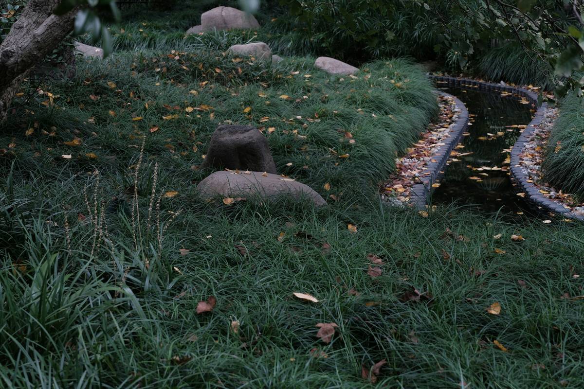 How to Balance Emotional Health with a Simple Habit: Your Secret Weapon for Stress-Free Living