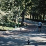 Habit Change Challenges: Simple Steps to Transform Your Mental Wellness