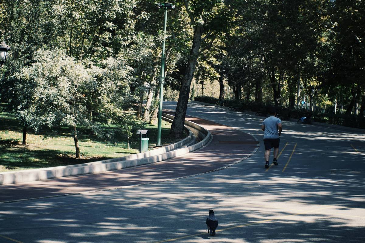 Habit Change Challenges: Simple Steps to Transform Your Mental Wellness