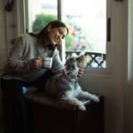 7 Simple Habit Shifts for Real Stress Free Life Strategies (No Meditation Required)