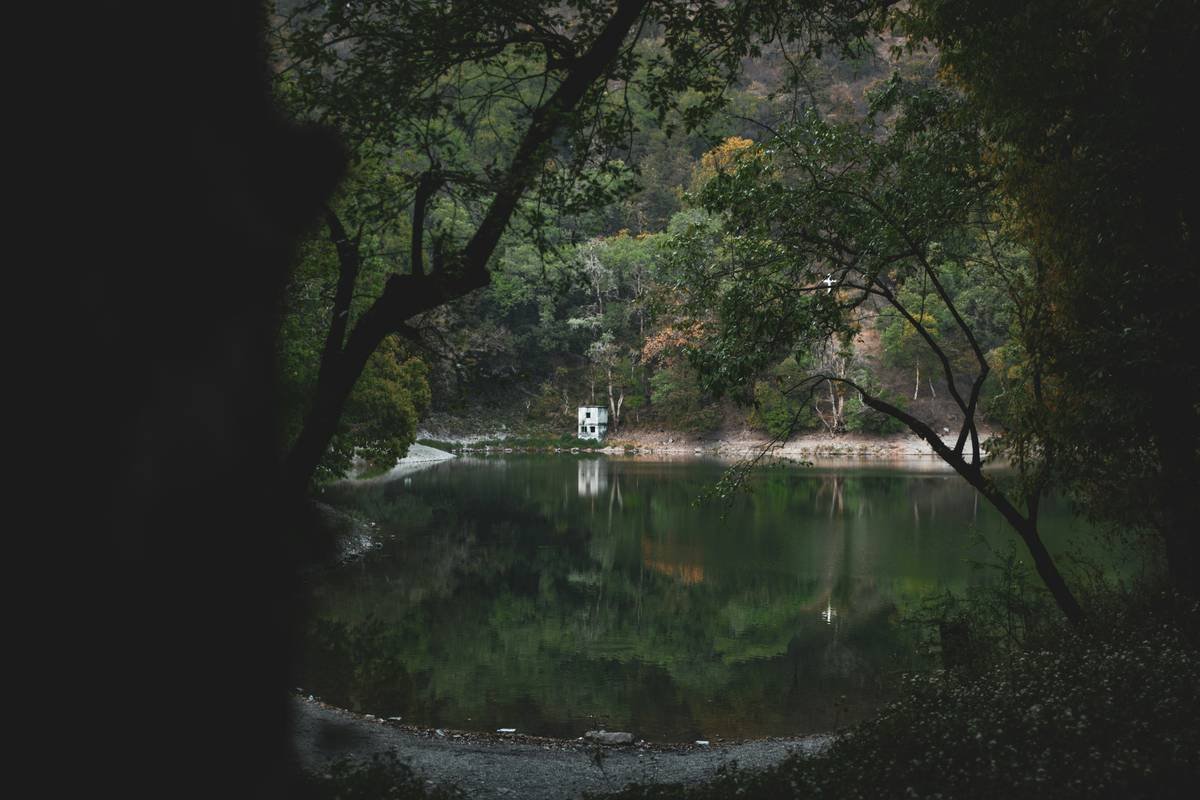 How to Cultivate Zen for Mental Peace Through One Ridiculously Simple Habit