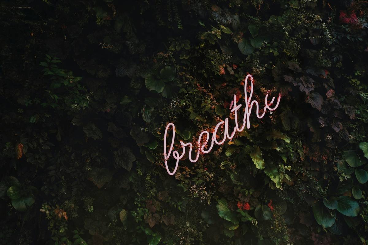 Infographic showing how zen breathing reduces cortisol and increases alpha brain waves for mental clarity