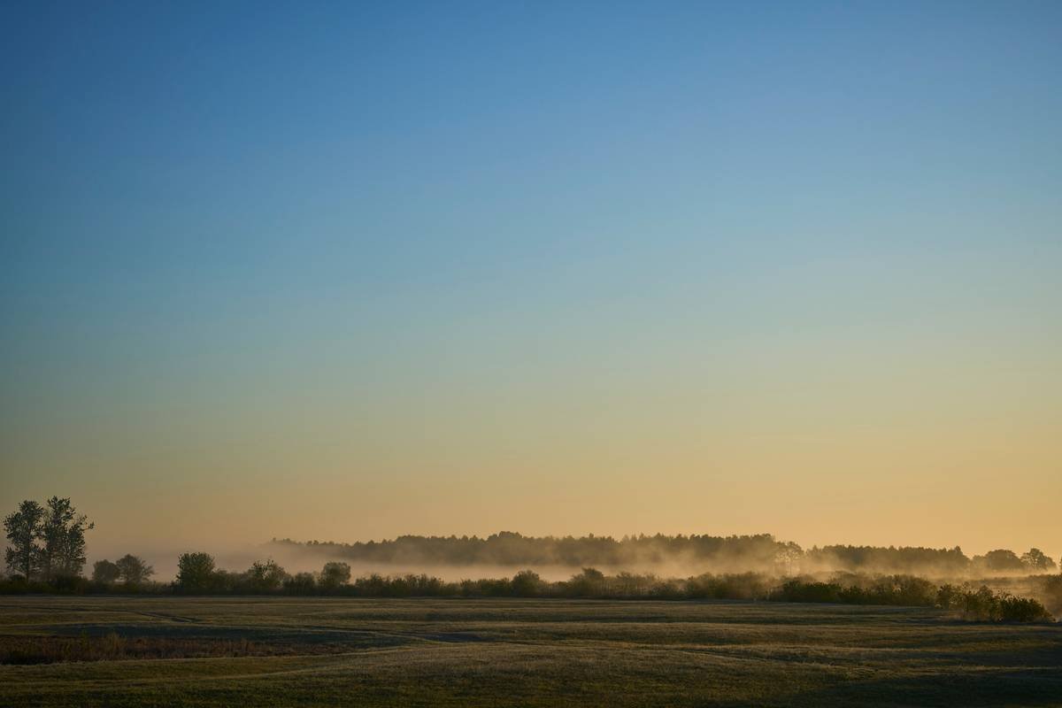 Sunrise over a misty field with trees and field