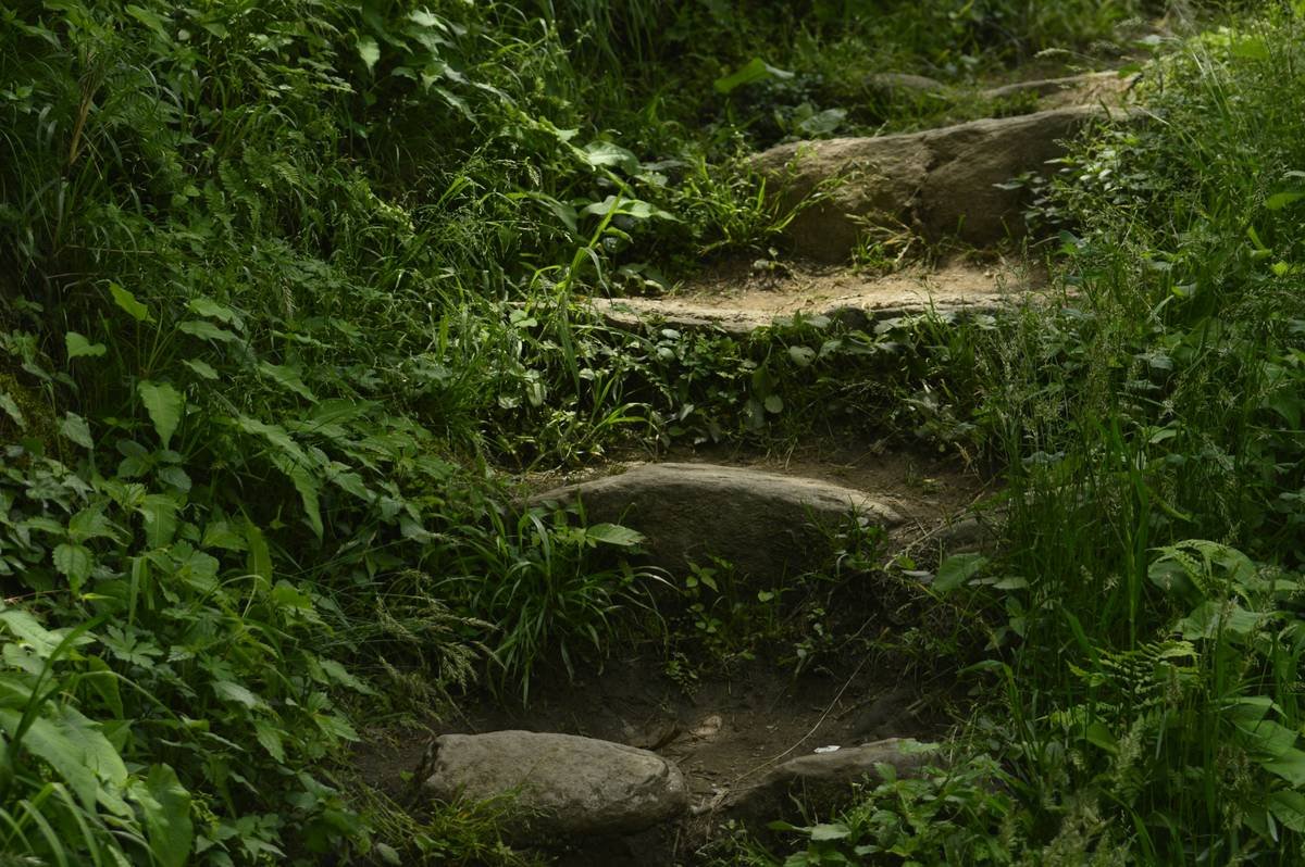 Why Your Big Goals Fail—and How to Make “habit start small” Actually Stick