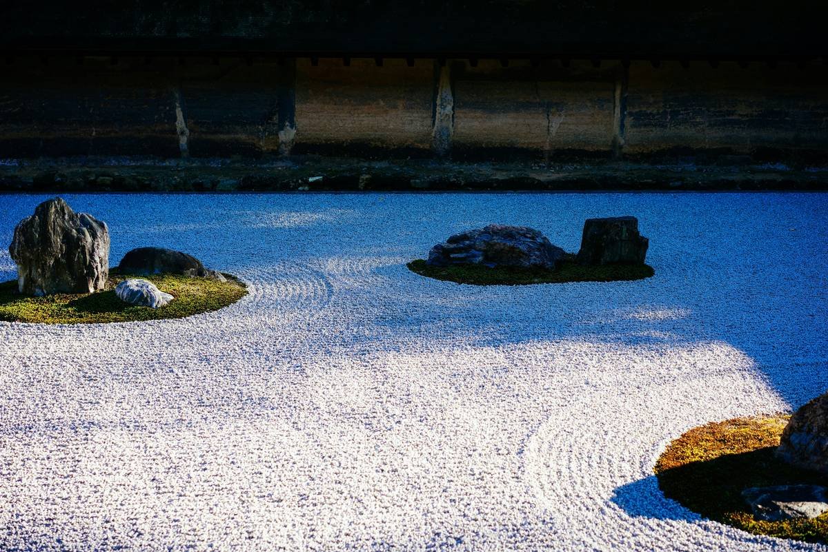 Emotional Resilience in Balance: The One Simple Habit That Anchors Your Mental Wellness