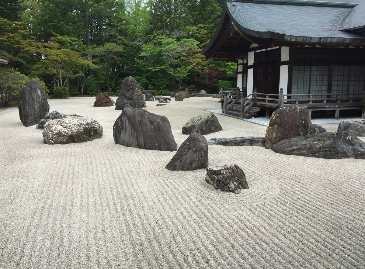 Zen for Focus and Calm: The Overlooked Daily Habit That Actually Works