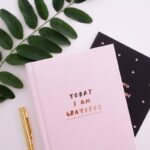 Daily Gratitude Habit: 7 Proven Ways to Avoid Painful Stress Traps